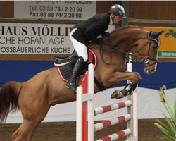 Auf dem sechsjährigen Bacentus (Balou du Rouet / Cento) gewann Thomas Kleis in heimischer Halle eine Springpferdeprüfung Klasse L und M. Foto: Wego